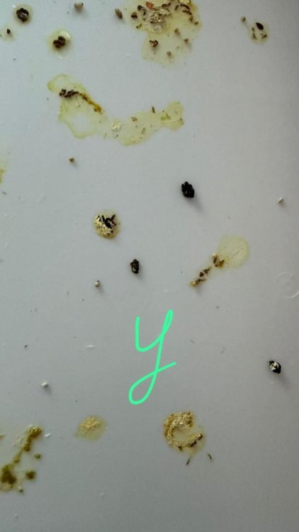 Изображение WhatsApp 2025-11-22 в 13.10.32_47900849.jpg