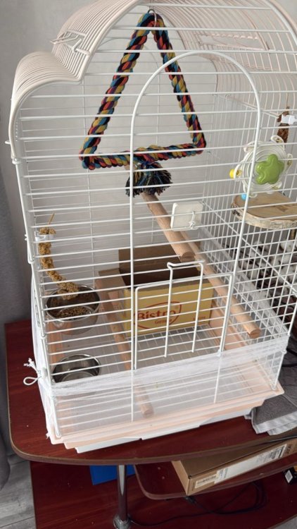 Изображение WhatsApp 2025-11-22 в 13.16.58_416f3e32.jpg