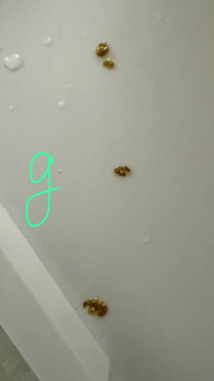 Изображение WhatsApp 2025-11-22 в 13.56.43_7455c563.jpg