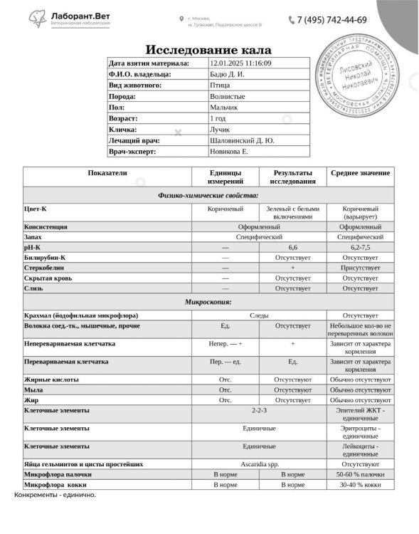 Кал в первой ветеринарке 12.01.jpg