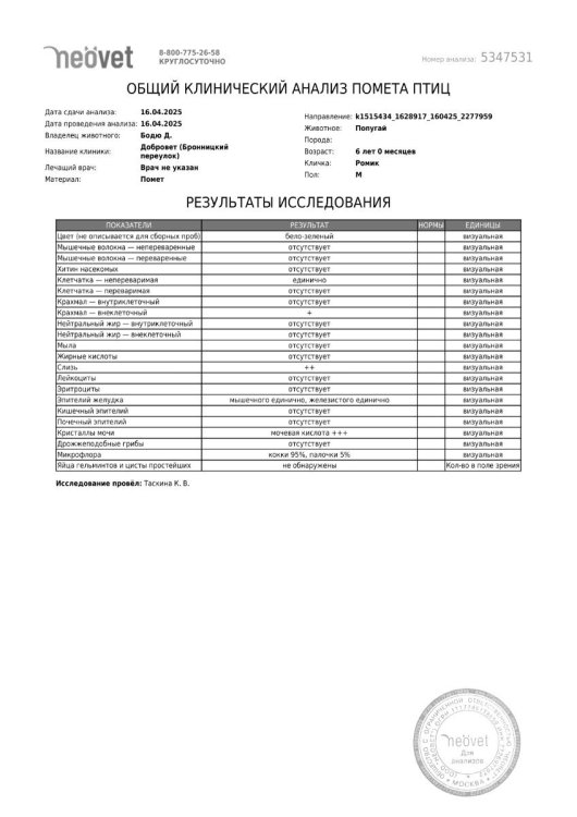 Кал 16.04 Ромик.jpg