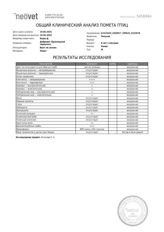 Кал 19.05 Ромик.jpg