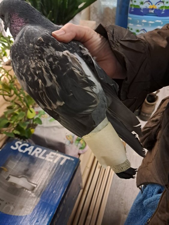 2025-11-30 01-59-41.JPG