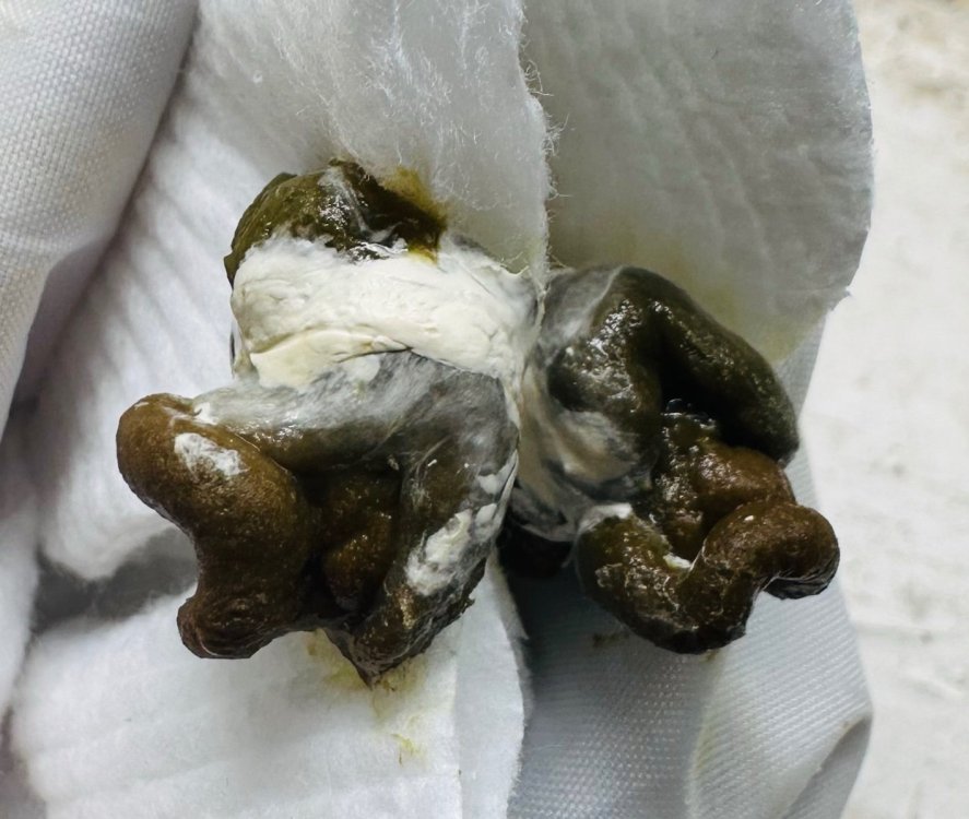 Снимок экрана 2025-12-03 в 19.21.29.jpg