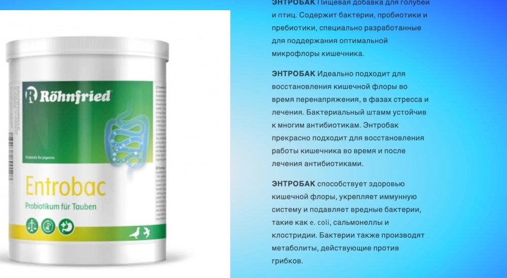 Снимок экрана 2025-12-03 в 19.49.13.jpg