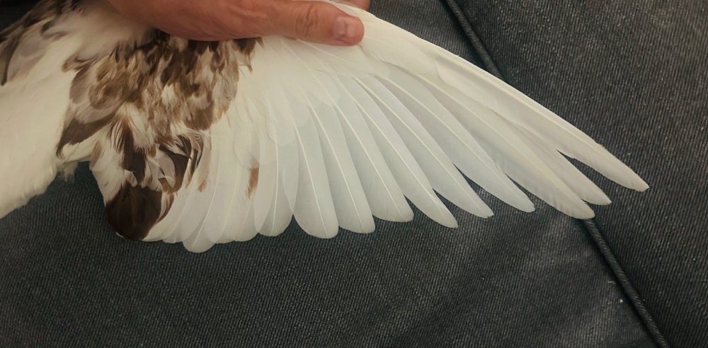 Снимок экрана 2025-12-03 в 20.38.56.jpg