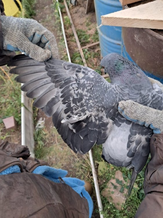 2025-12-14 13-01-48.JPG