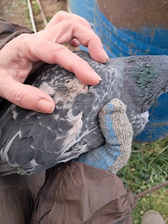 2025-12-14 13-03-13.JPG