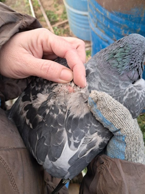 2025-12-14 13-03-55.JPG