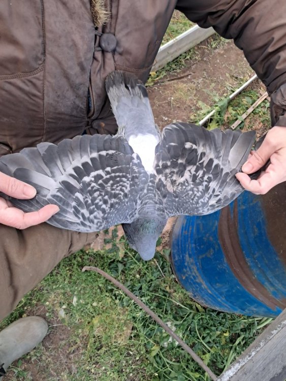 2025-12-14 13-07-34.JPG