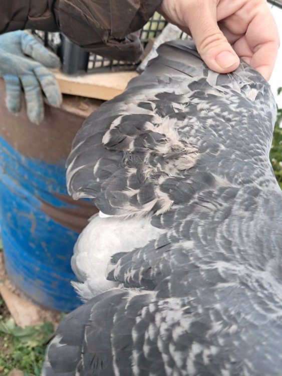 2025-12-14 13-07-44.JPG