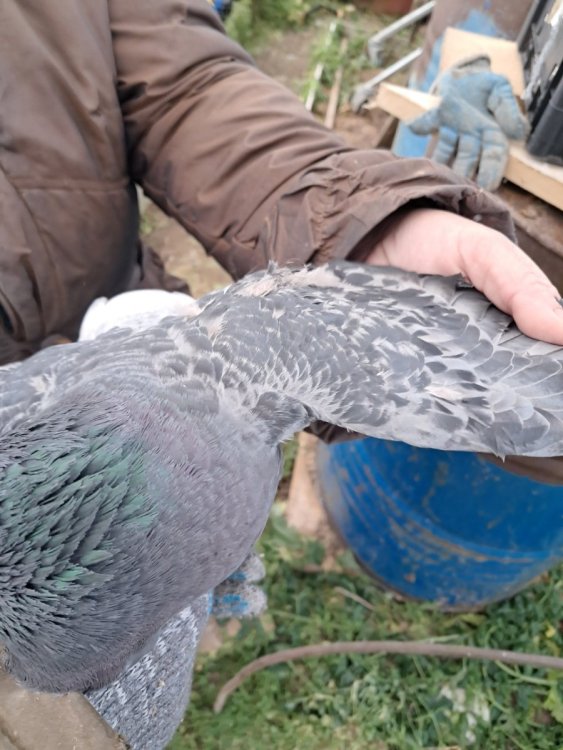 2025-12-14 13-09-08.JPG