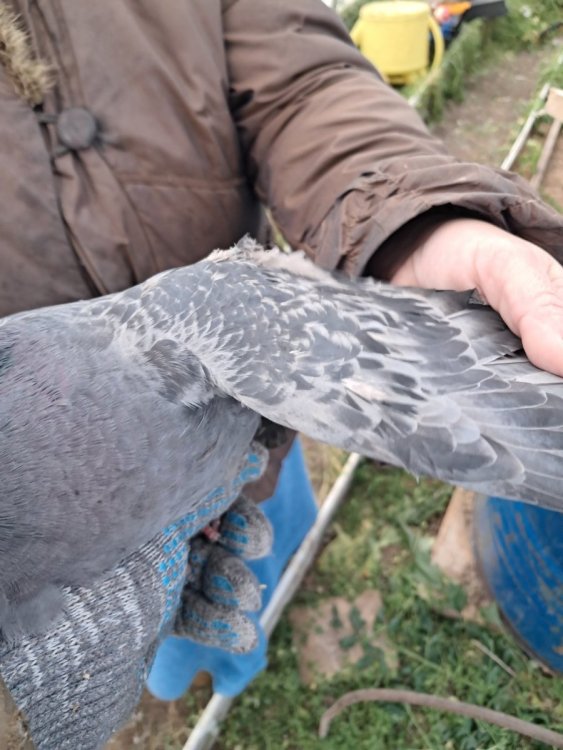 2025-12-14 13-09-11.JPG