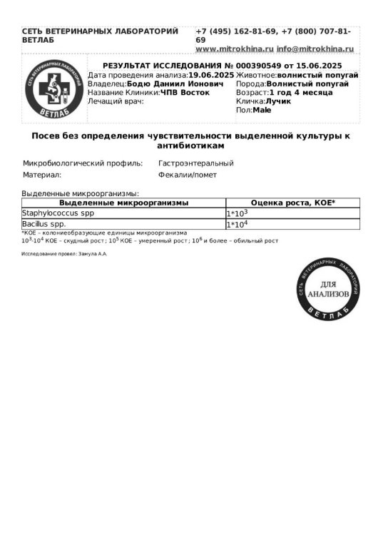 Посев 27 июня.jpg