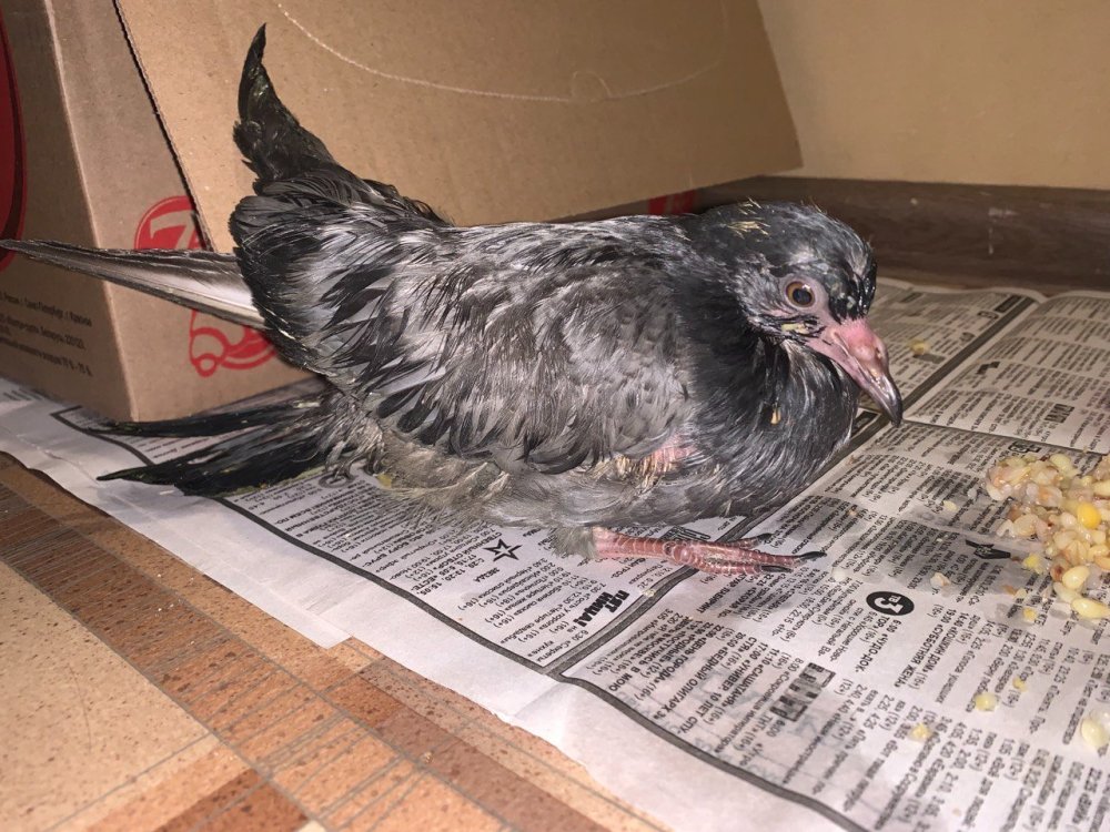 photo_2024-10-30_15-53-11 (3).jpg