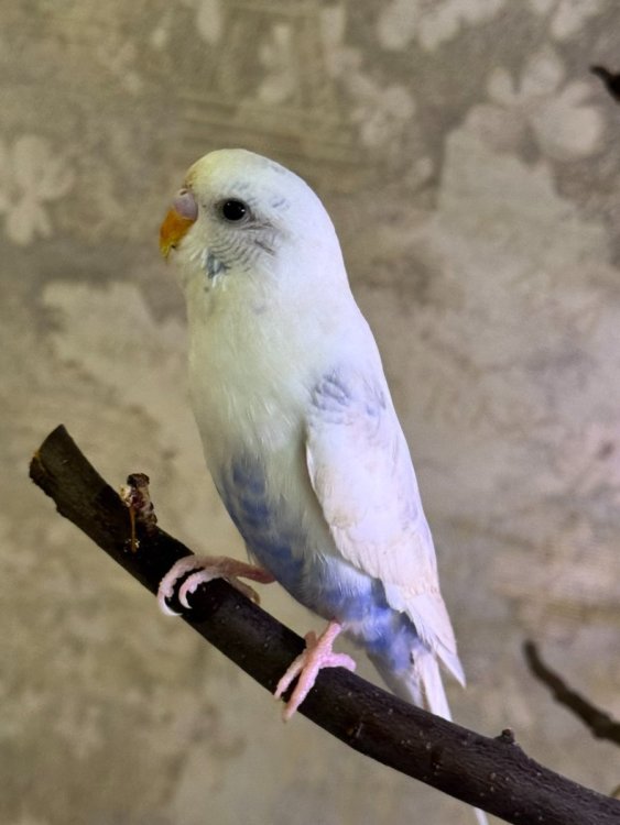 photo_2025-12-11_14-10-17 (2).jpg