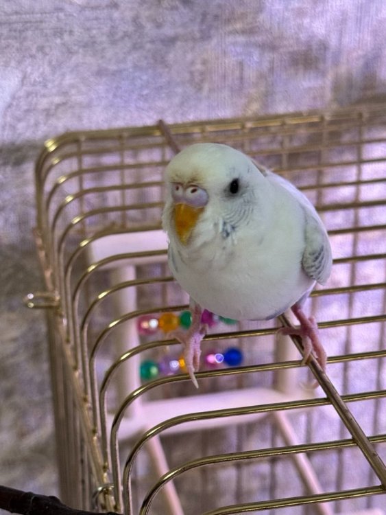 photo_2025-12-11_14-10-17 (3).jpg