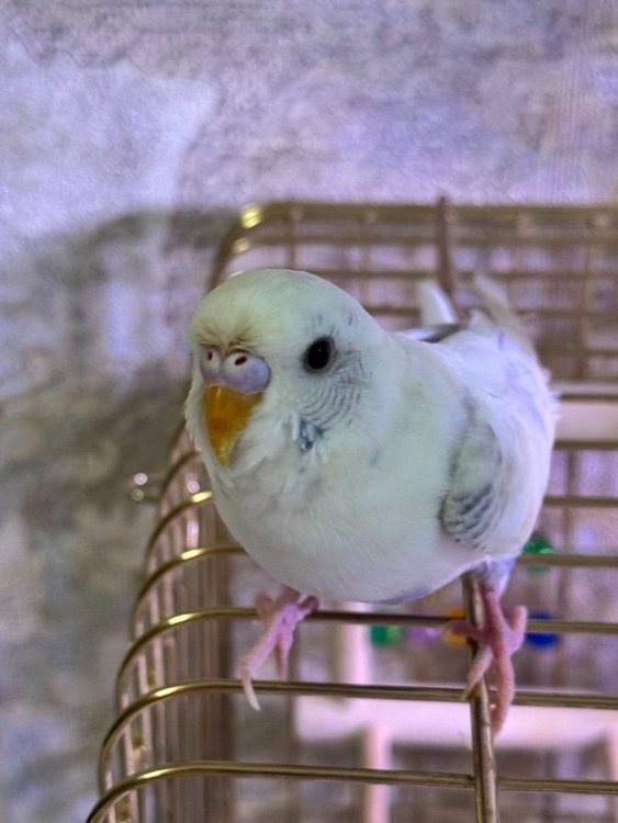 photo_2025-12-11_14-10-17 (4).jpg