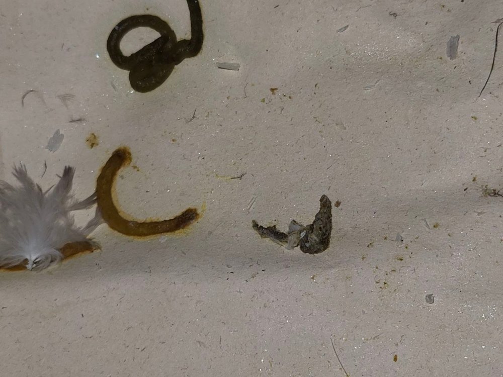 photo_2026-02-24_19-27-19 (2).jpg