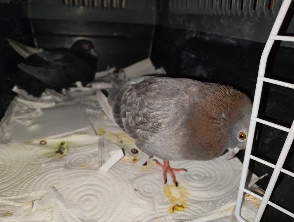 photo_2026-03-02_19-05-22 (2).jpg