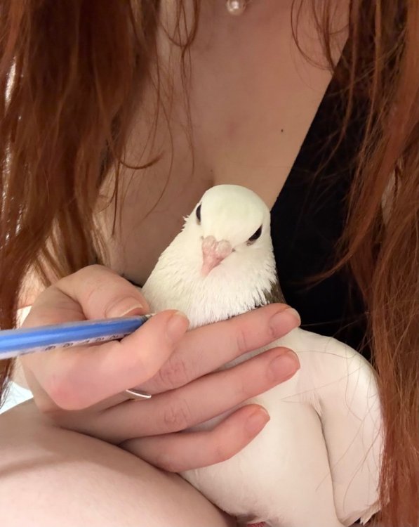 IMG_6388.jpeg