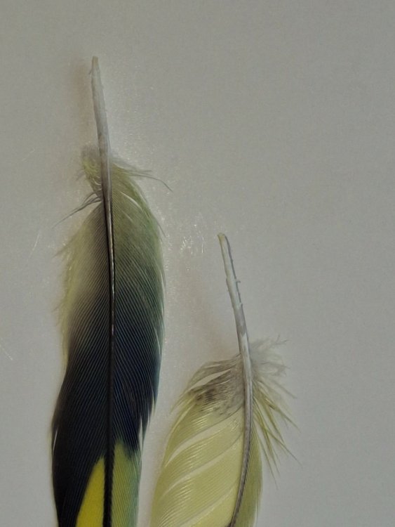 20260526_103035.jpg