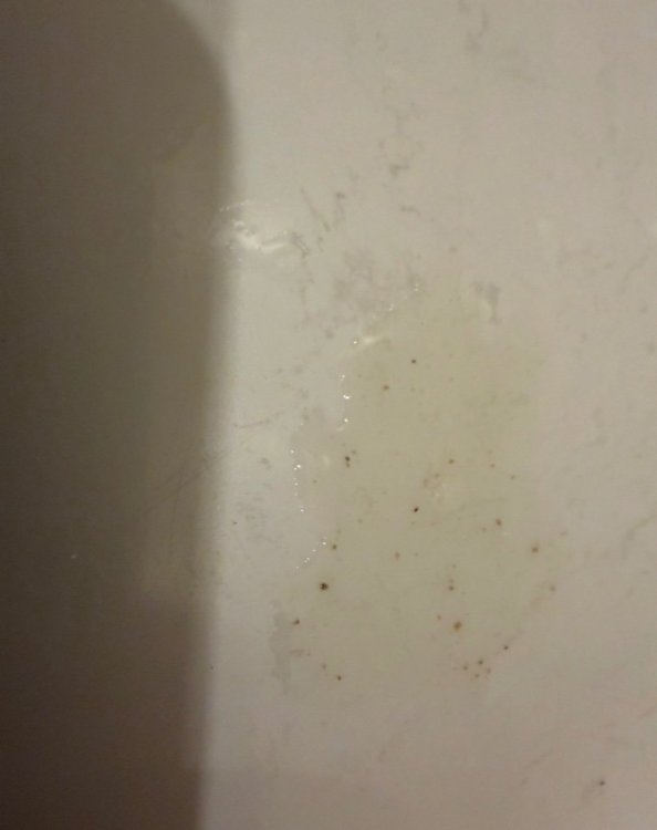 IMG_6910.jpeg