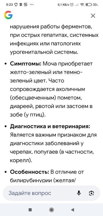 Screenshot_2026-05-04-00-23-05-940_com.android.chrome.thumb.jpg.1bd0a2c693f4cfe702632b33f44946ff.jpg