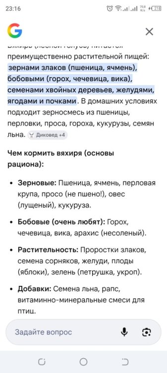 Screenshot_20260508-231630.jpg