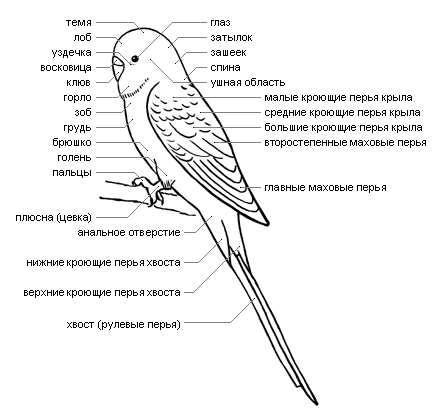 image.png.3ebc88de09c45fa8cb512138faee73ff.png