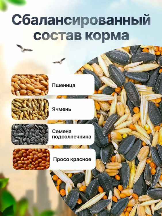 image.thumb.png.ae748be2da1d52ac7081c02eb4799732.png