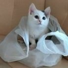 София Ромашка