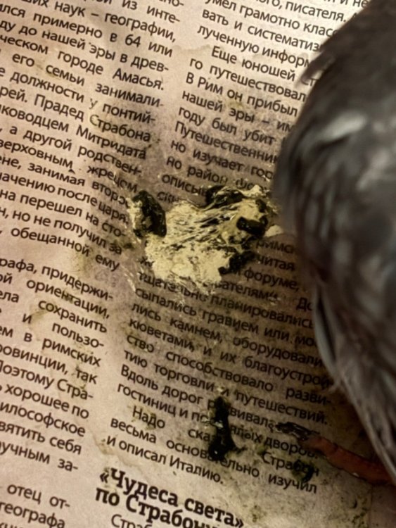 IMG_3497.jpeg