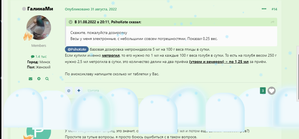 2026-01-06_21-02-30.png