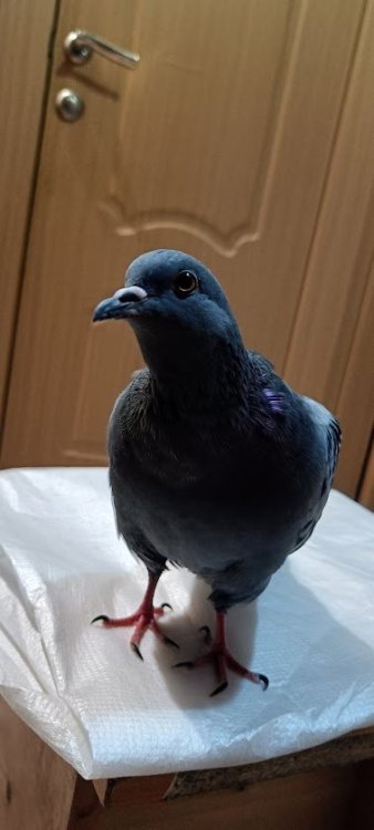IMG20241105173451.jpg
