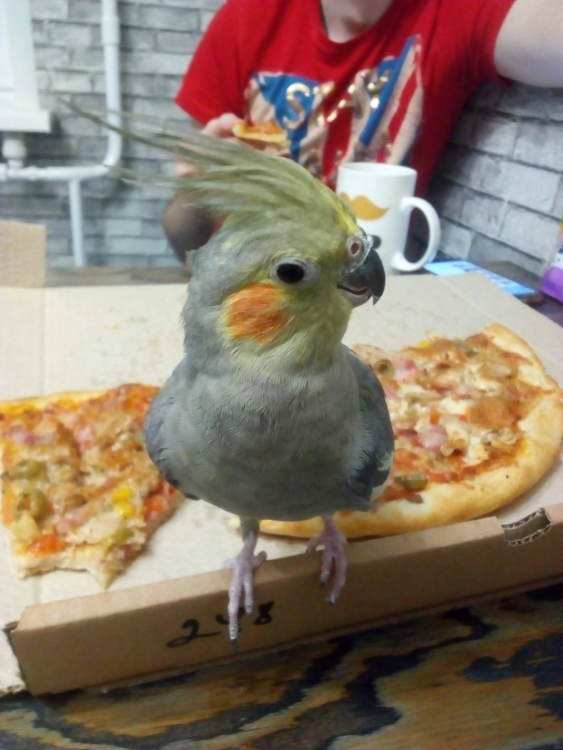 IMG_1052.png