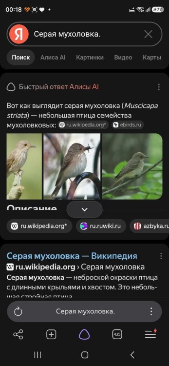 Screenshot_20260730_001846_YandexBrowser.thumb.jpg.9a5c4e67388139ef681891e96b4d7a52.jpg