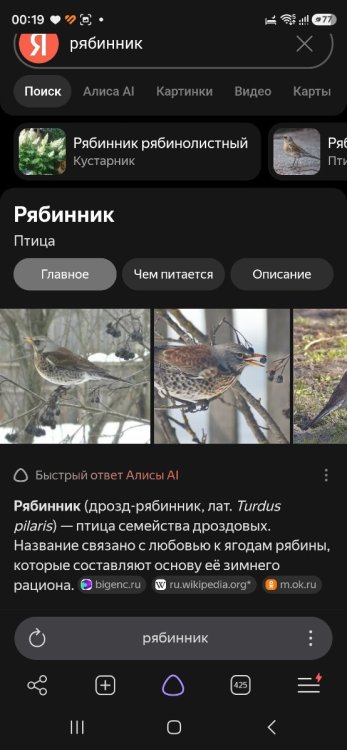 Screenshot_20260730_001930_YandexBrowser.thumb.jpg.6a125dd528fc2faea8c496cf04749106.jpg