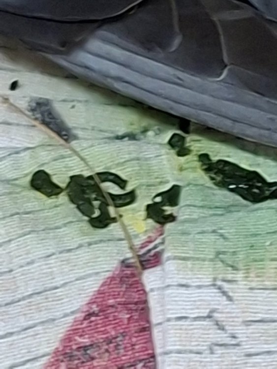 20260803_231713.jpg