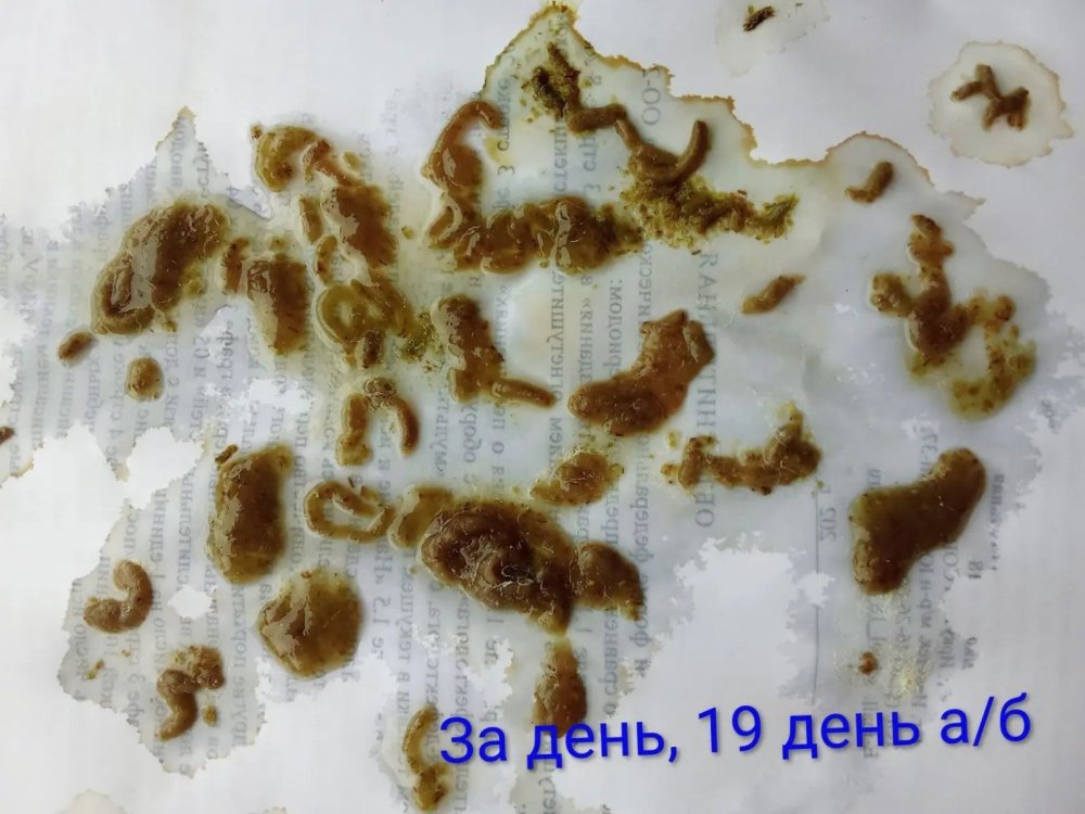 7ef1a07d-cbc7-4ade-9b1b-63fe3477df32.jpg