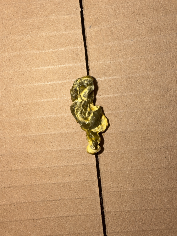 C16501E8-8A18-4455-9EDD-5252BFC471AE.png
