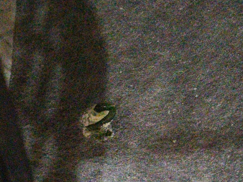 IMG20260806135724.jpg