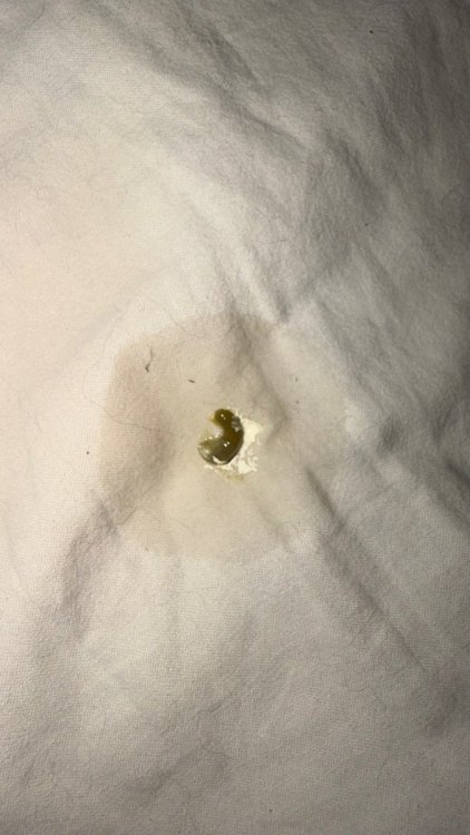 IMG_3137.jpeg