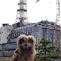 Bubo chernobylianus
