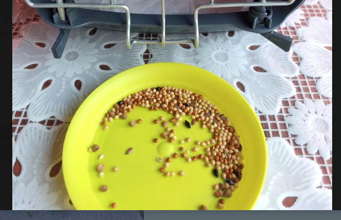 image.png.066ab5ebe345910afe06e4643893b049.png