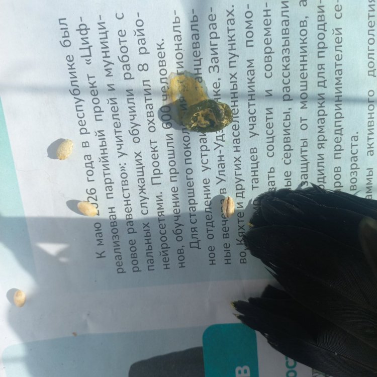 20260919_143311.thumb.jpg.e499213d73eaba08d6a90b9f8421c3ce.jpg