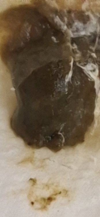 20260926_120411.jpg