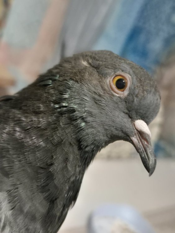 20260927_185507.jpg