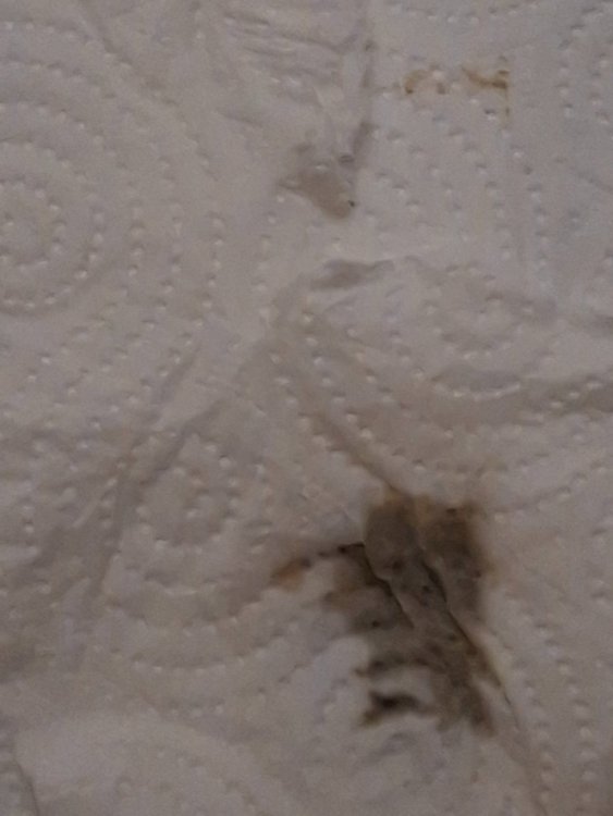 20260930_110017.jpg