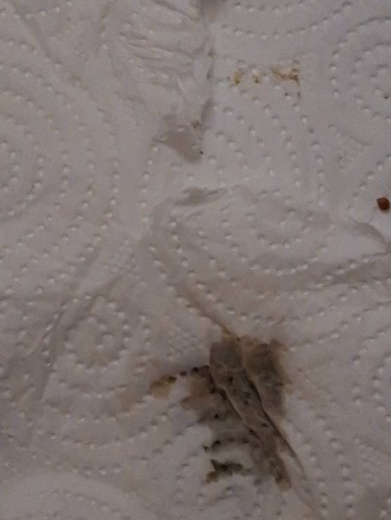 20260930_110019.jpg